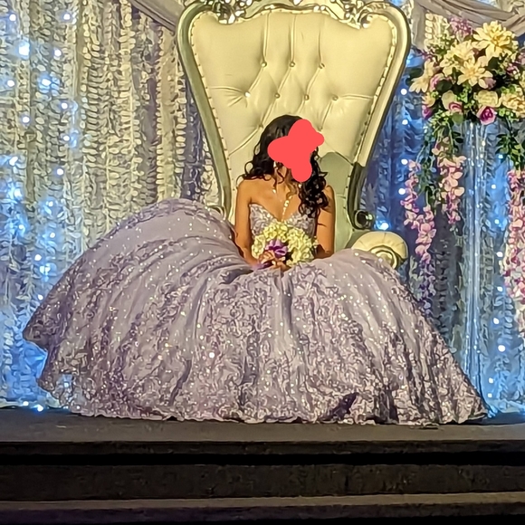 Quinceanera Dress - Picture 3 of 6